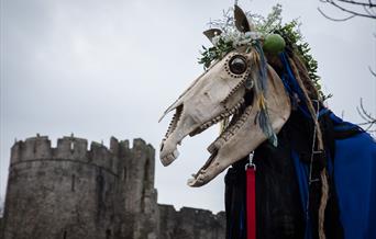 Mari Lwyd