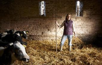 Kate Beavan & calves