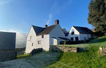 Frosty Llwyn Celyn