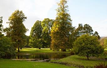 Llanover Lake