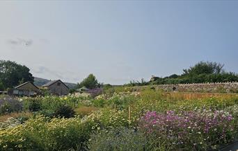 A vibrant flower farm in full bloom, filled with colorful wildflowers and lush greenery under a clear blue sky. Stone barns and garden structures sit