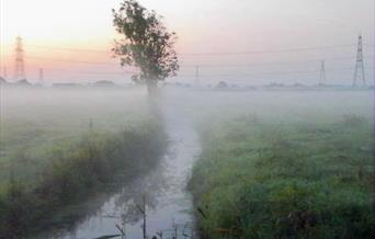 Magor Marsh