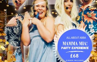 Mamma Mia - The Party