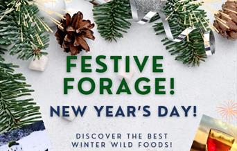 New Year's Day Festive Forage