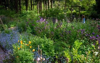 Nant Y Bedd Garden