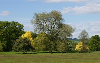 Llanover Park