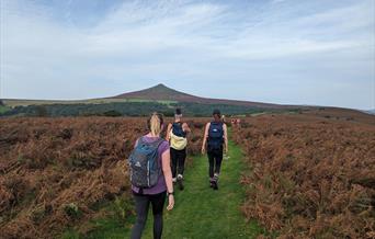 Wales Outdoors