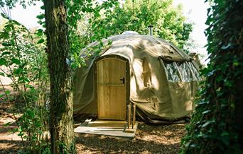 Penhein Glamping