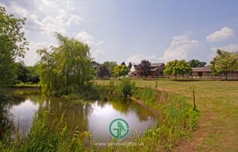 Hendre Farmhouse Orchard Campsite