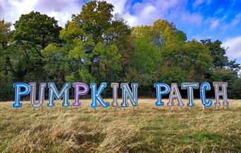 Billy Bob's Pumpkin Patch