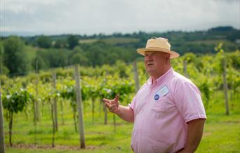 White Castle Vineyard Tour