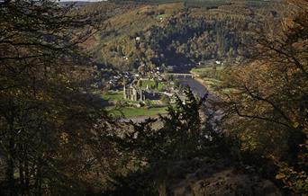 Tintern Abbey from Devil's Pulpit