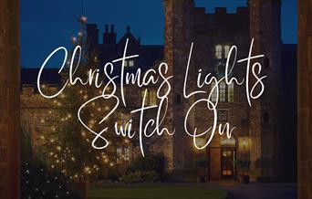 Christmas lights