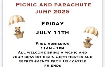 Teddy Bear Picnic