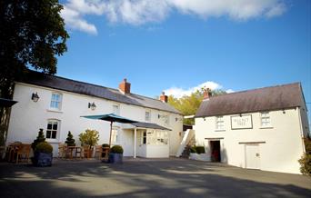 The Walnut Tree