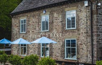 The Wild Hare Tintern