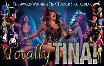 Tina Turner Tribute concert