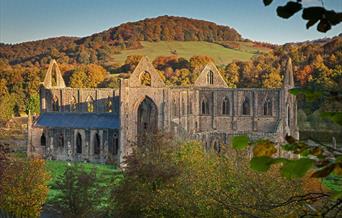 Tintern Abbey