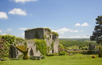 Usk Castle