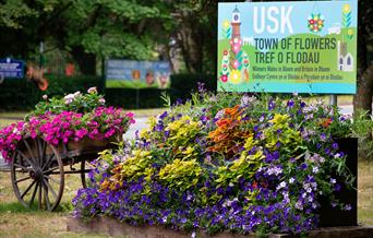 Usk Open Gardens