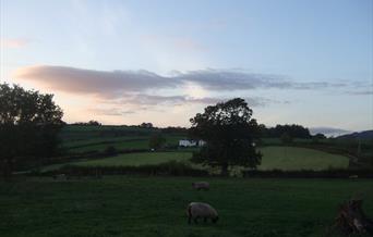 View from a Distance 1