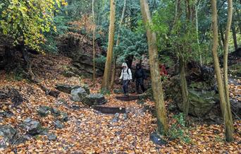 Wales Outdoor Walk