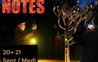 Man looking at art installation at night