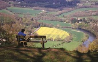 Whitestone Viewpoint