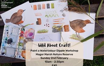 Photograph of watercolour paint pallete and artwork of Dipper birds, with a page of painting exercises.