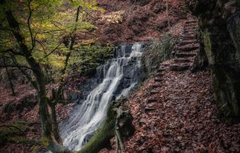 @itkapp Cleddon Shoots