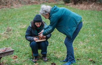 Willow weaving workshop