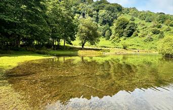 @shirls_lawton Punchbowl