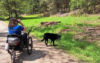 wheelchair ramble Trellech Common bird watching crop