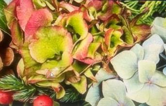 make a beautiful wreath