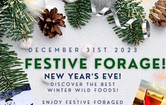 Festive Forage with wild sips & nibbles!