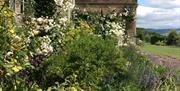 Treowen front garden