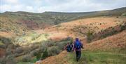 Crickhowell Walking Festival