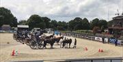 Carriages lining up for their Rosettes