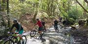 Cycling tours with Treads & Trails