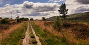 Exploring an Industrial Age cycle route