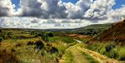 Exploring an Industrial Age cycle route