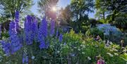 Far Hill Flowers