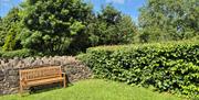 Bench in the grass of chapel grounds, next to wall and nearby hedge with trees and blue sky in the background.