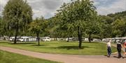 Plenty of trees for shelter