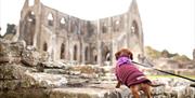 Tintern Abbey
