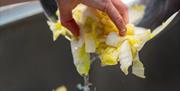 Fermentation Workshop