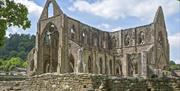 Tintern Abbey