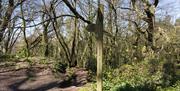 Walking on the Kymin