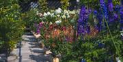 Millbrook Garden Centre near Monmouth  flowers for sale