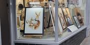 Captivate Gallery